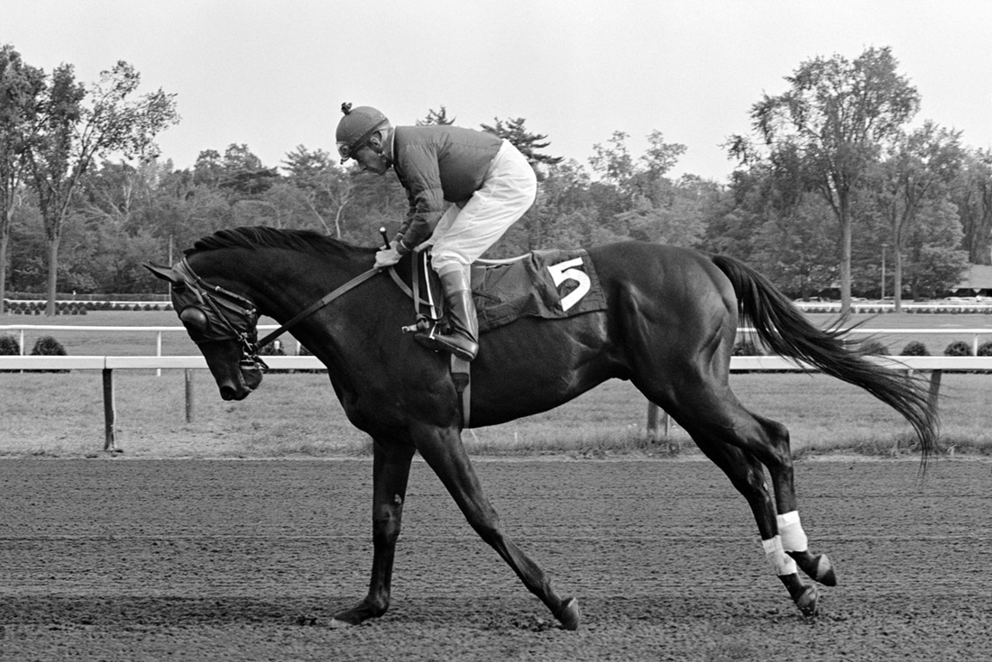 Cantering Thoroughbred © 1964 Phillip Leonian