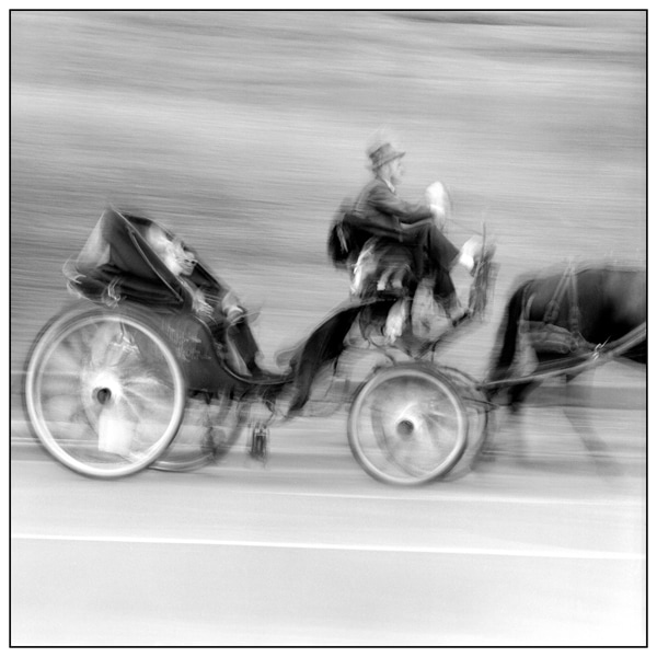 Carriage in Central Park © 1961 Phillip Leonian