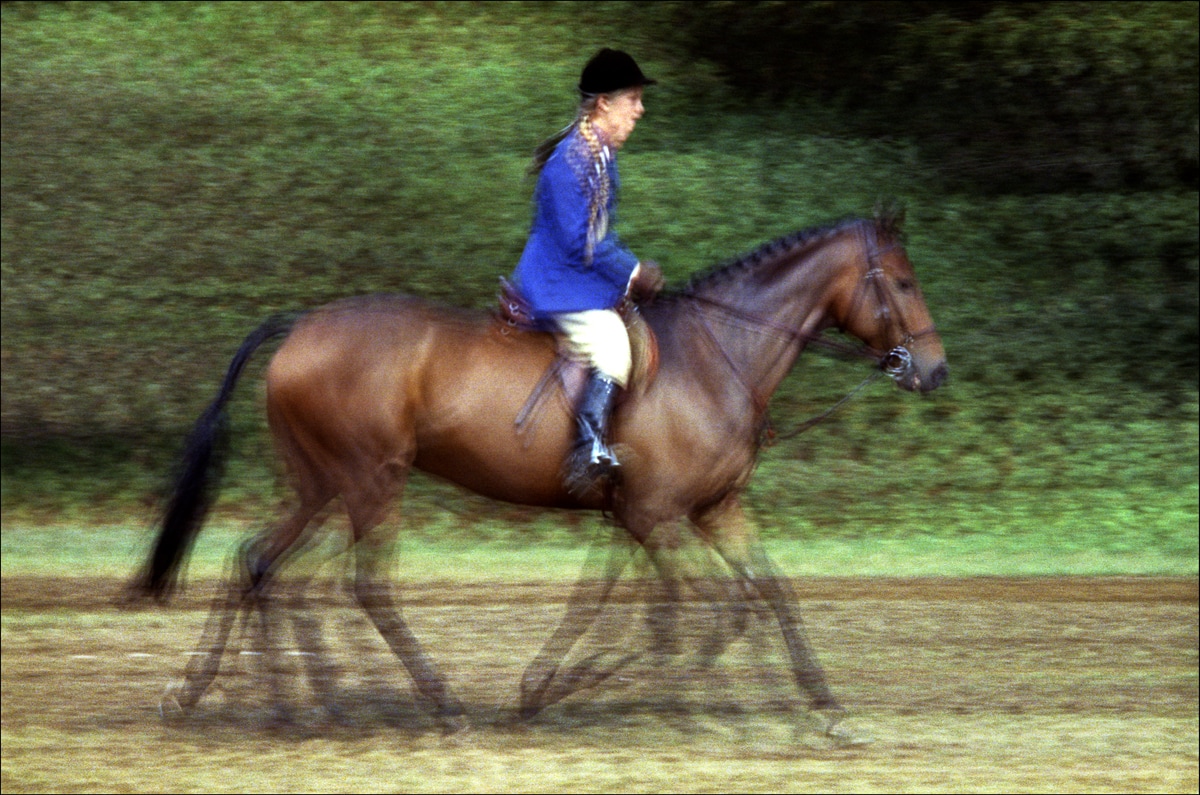 Equestrian blue jacket © 1964 Phillip Leonian