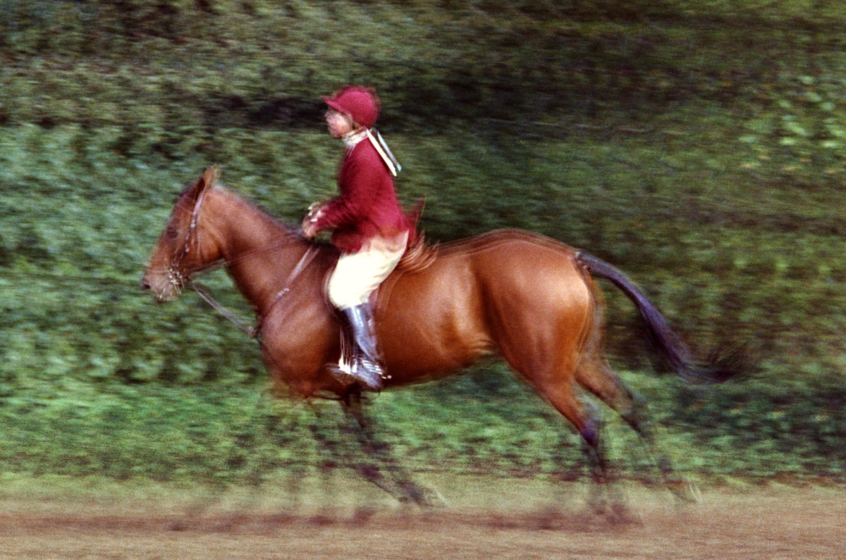 Equestrian with Red Jacket © 1964 Phillip Leonian
