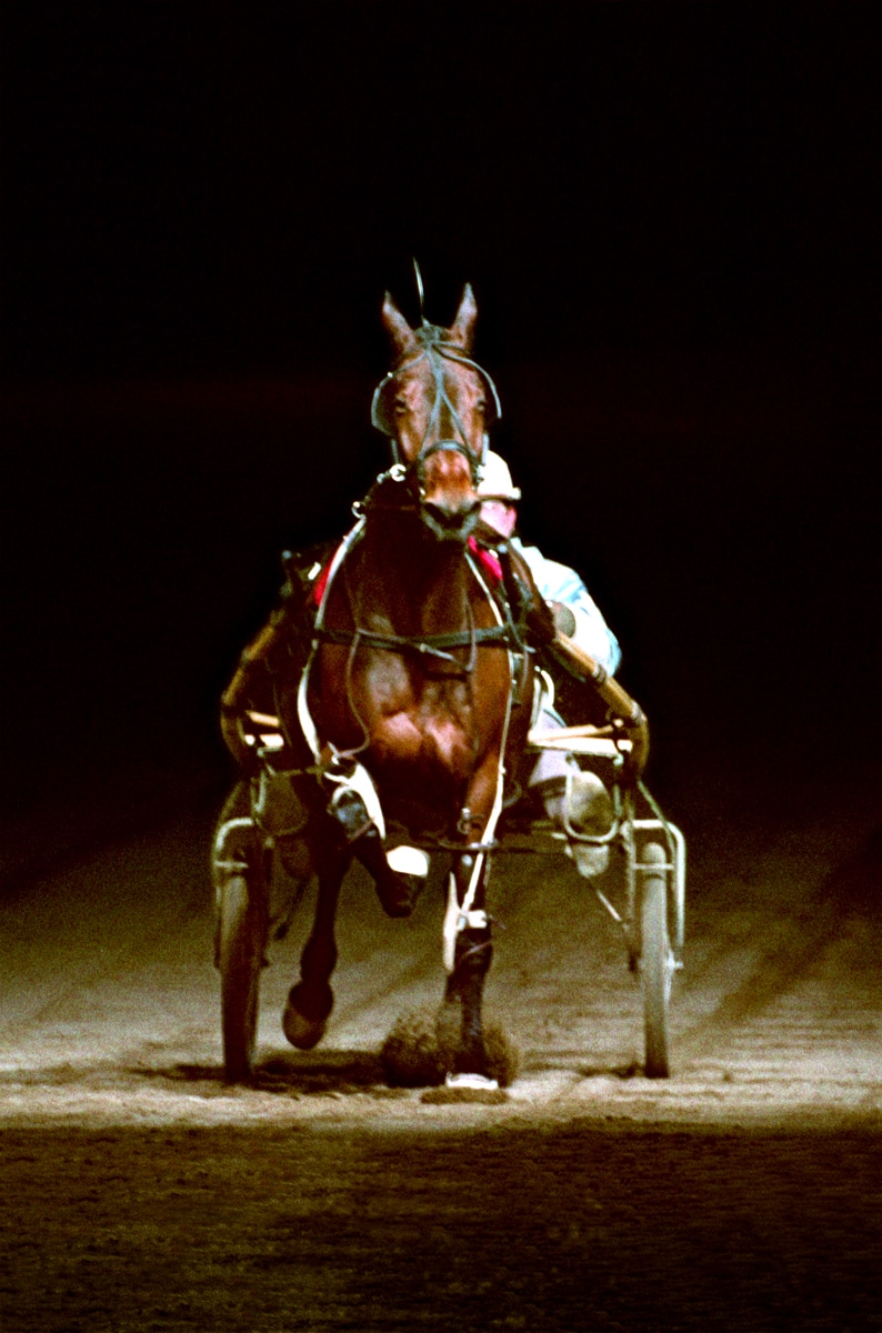 Harness Racer Head On © 1966 Phillip Leonian
