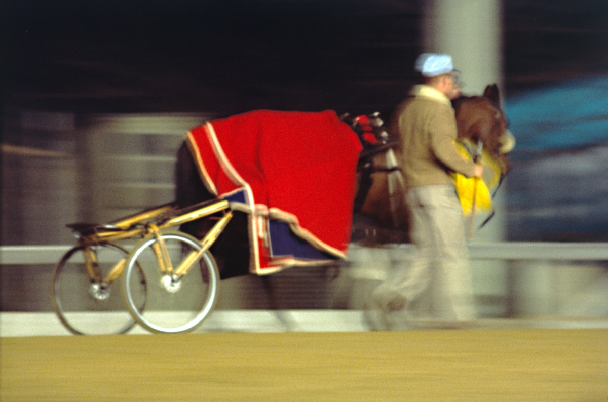 Harness Racer in a Red Blanket  © 1966 Phillip Leonian